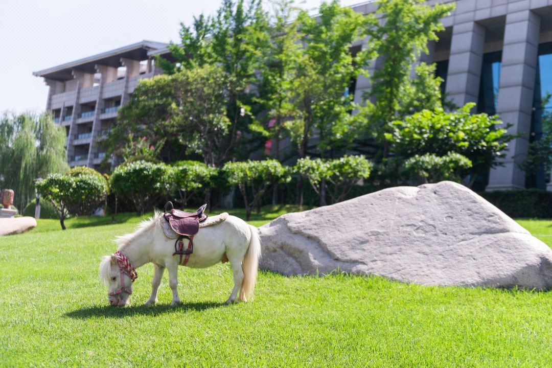 Betway·必威(西汉姆联)官方网站-Official website