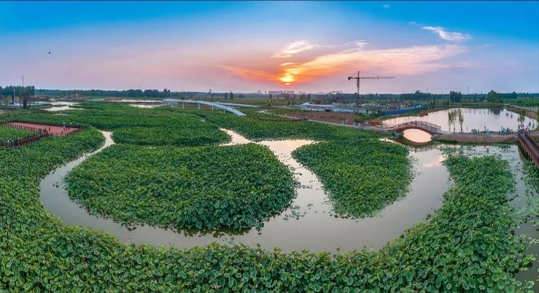 Betway·必威(西汉姆联)官方网站-Official website