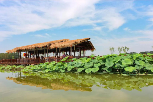 Betway·必威(西汉姆联)官方网站-Official website