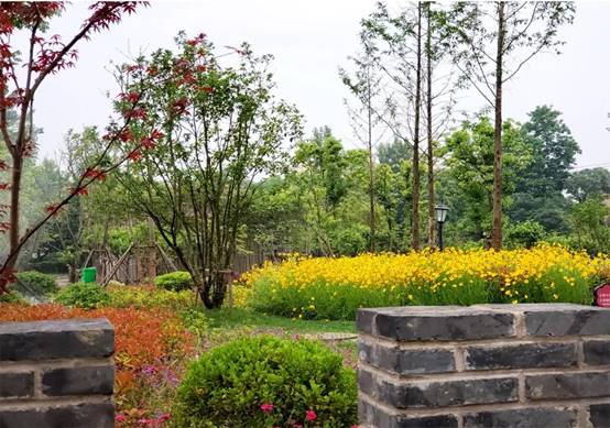 Betway·必威(西汉姆联)官方网站-Official website